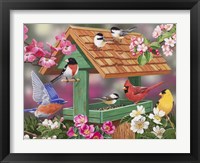 Framed Feathers and Flowers