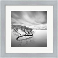 Framed Water Tree VII