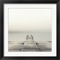 Framed Pier and Seagull