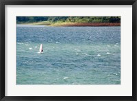 Framed Wind surfer in a lake, Arenal Lake, Guanacaste, Costa Rica