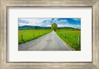 Framed Country gravel road passing through a field, Hyatt Lane, Cades Cove, Great Smoky Mountains National Park, Tennessee