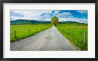 Framed Country gravel road passing through a field, Hyatt Lane, Cades Cove, Great Smoky Mountains National Park, Tennessee