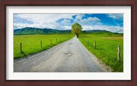 Framed Country gravel road passing through a field, Hyatt Lane, Cades Cove, Great Smoky Mountains National Park, Tennessee
