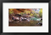 Framed Reflecting pond in Zion National Park, Springdale, Utah, USA