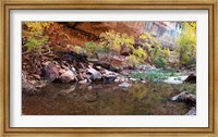 Framed Reflecting pond in Zion National Park, Springdale, Utah, USA