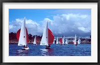 Framed Dragon regatta in Baie De Douarnenez, Finistere, Brittany, France