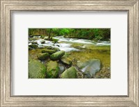 Framed Stream following through a forest, Little River, Great Smoky Mountains National Park, Tennessee, USA