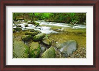 Framed Stream following through a forest, Little River, Great Smoky Mountains National Park, Tennessee, USA