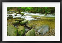 Framed Stream following through a forest, Little River, Great Smoky Mountains National Park, Tennessee, USA