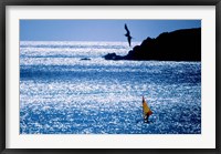 Framed Windsurfer in the sea, Sint Maarten, Netherlands Antilles