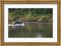Framed Sports utility vehicle crossing a river, Ora River, Playa Carrillo, Guanacaste, Costa Rica