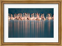 Framed Flamingo Reflections in a lake, Lake Nakuru, Lake Nakuru National Park, Kenya