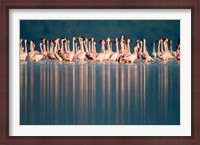 Framed Flamingo Reflections in a lake, Lake Nakuru, Lake Nakuru National Park, Kenya