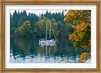 Framed Sailboats in a lake, Washington State, USA