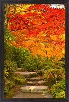 Framed Stone steps in a forest in autumn, Washington State, USA