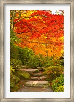 Framed Stone steps in a forest in autumn, Washington State, USA