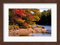 Framed Autumn Trees, Musquash River, Muskoka, Ontario, Canada