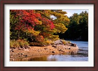 Framed Autumn Trees, Musquash River, Muskoka, Ontario, Canada