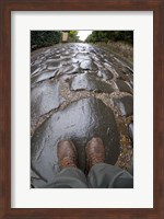 Framed Cobblestones of the Appian Way, Rome, Lazio, Italy
