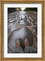 Framed Cobblestones of the Appian Way, Rome, Lazio, Italy