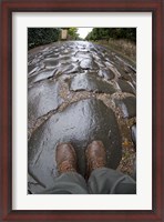 Framed Cobblestones of the Appian Way, Rome, Lazio, Italy