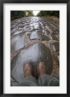 Framed Cobblestones of the Appian Way, Rome, Lazio, Italy