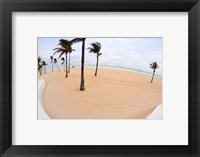 Framed Palm trees on the beach, Fort Lauderdale, Broward County, Florida, USA