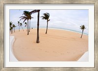 Framed Palm trees on the beach, Fort Lauderdale, Broward County, Florida, USA