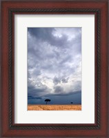 Framed Two trees on a landscape, Masai Mara National Reserve, Kenya