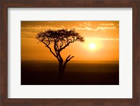 Framed Silhouette of tree at dusk, Tanzania