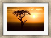 Framed Silhouette of tree at dusk, Tanzania