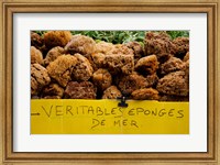 Framed Natural sponges for sale in a market, Lourmarin, Vaucluse, Provence-Alpes-Cote d'Azur, France