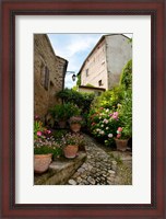 Framed Flowers pots on street, Lacoste, Vaucluse, Provence-Alpes-Cote d'Azur, France