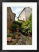 Framed Flowers pots on street, Lacoste, Vaucluse, Provence-Alpes-Cote d'Azur, France