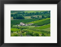 Framed Farmhouse in a field, Lacoste, Vaucluse, Provence-Alpes-Cote d'Azur, France