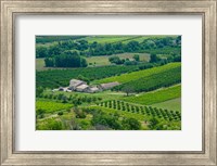 Framed Farmhouse in a field, Lacoste, Vaucluse, Provence-Alpes-Cote d'Azur, France