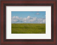Framed Lavender Field, France