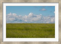 Framed Lavender Field, France