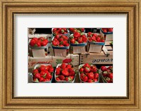 Framed Strawberries for sale at weekly market, Arles, Bouches-Du-Rhone, Provence-Alpes-Cote d'Azur, France