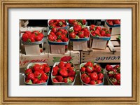 Framed Strawberries for sale at weekly market, Arles, Bouches-Du-Rhone, Provence-Alpes-Cote d'Azur, France