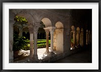 Framed Cloister of ancient Monastere Saint-Paul-De-Mausole, St.-Remy-De-Provence, Bouches-Du-Rhone, Provence-Alpes-Cote d'Azur, France