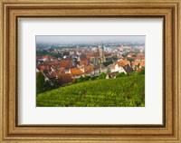 Framed City viewed from vineyard, Esslingen-Am-Neckar, Baden-Wurttemberg, Germany