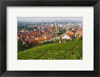 Framed City viewed from vineyard, Esslingen-Am-Neckar, Baden-Wurttemberg, Germany