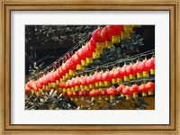 Framed Red lanterns at a temple, Jade Buddha Temple, Shanghai, China