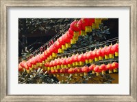 Framed Red lanterns at a temple, Jade Buddha Temple, Shanghai, China