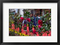 Framed People at spring flower festival, Old Town, Dali, Yunnan Province, China