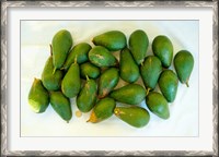 Framed Avocados in a bunch, Santa Paula, Ventura County, California, USA