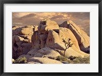 Framed Rock formations and Joshua tree at Joshua Tree National Park, California, USA