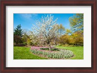 Framed Tree in Sherwood Gardens, Baltimore, Maryland