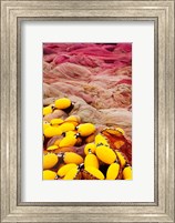 Framed Commercial Fishing Nets with Floats, Port-Vendres, Vermillion Coast, Pyrennes-Orientales, Languedoc-Roussillon, France
